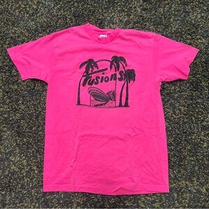 Anvil Fusions Niagara Falls Vintage T (OS, fits M)